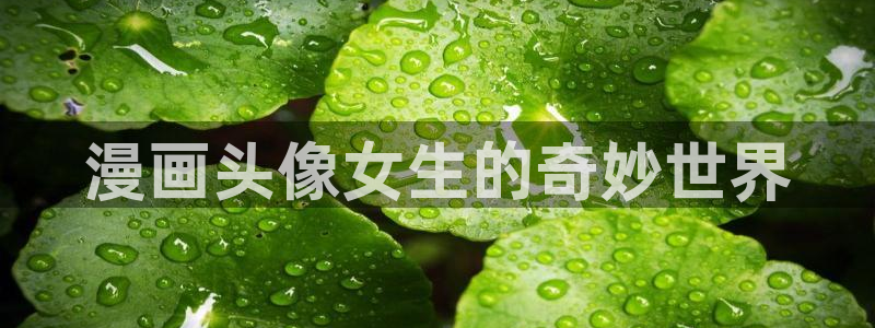 51漫画app大全下载