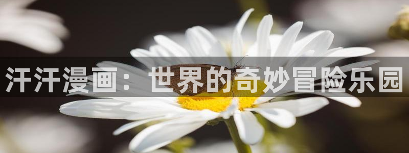 51漫画免费动漫在线观看