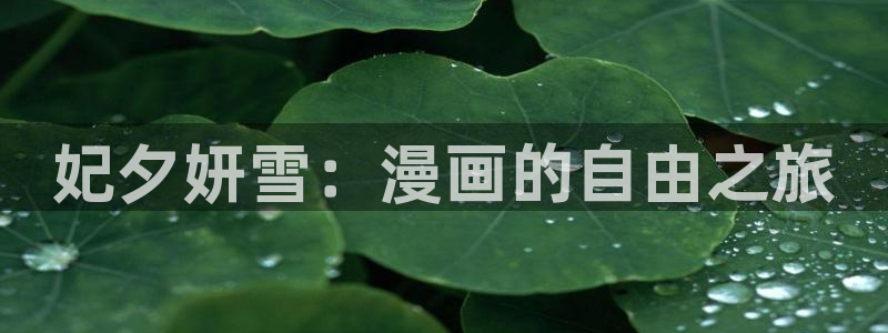 51漫画免费版网页入口