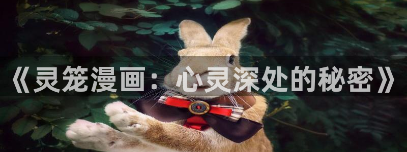 51漫画app在线