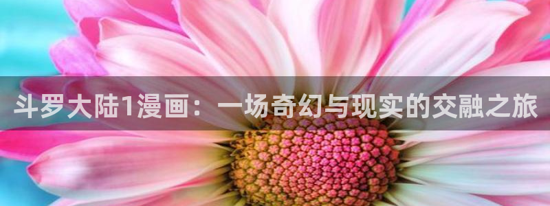 51漫画免费正版入口